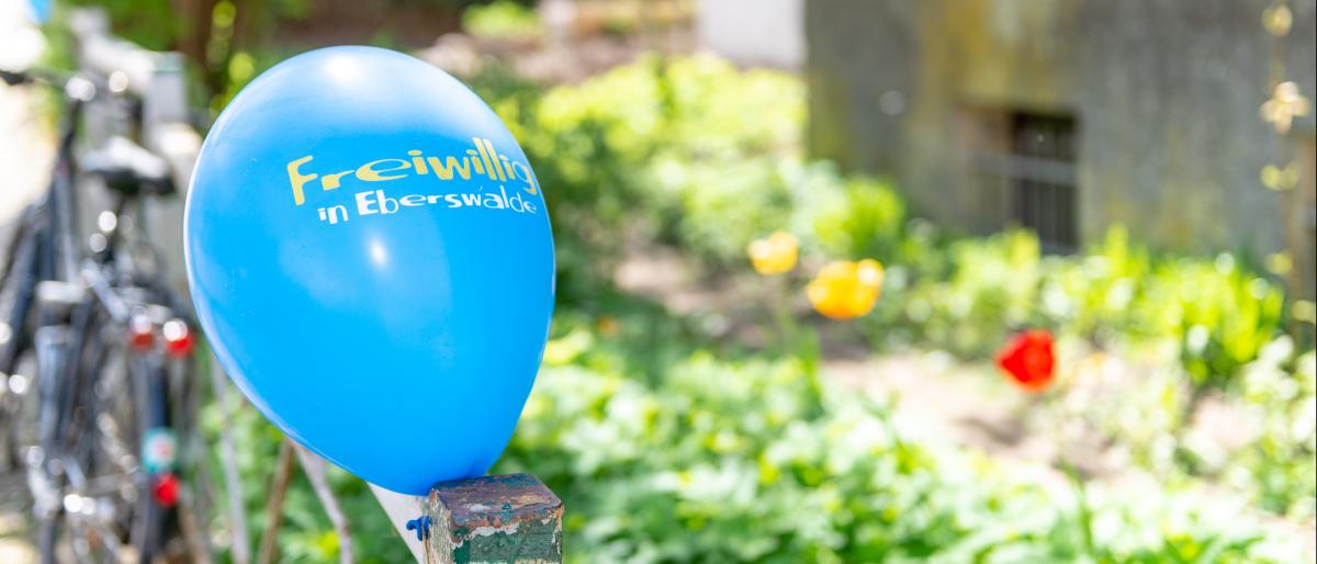Luftballon mit Aufdruck Freiwillig in Eberswalde